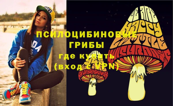 не бодяженный Зерноград